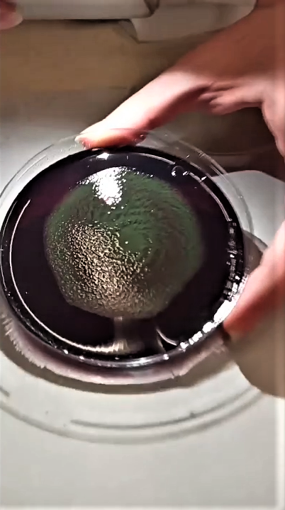 photo_6α.png